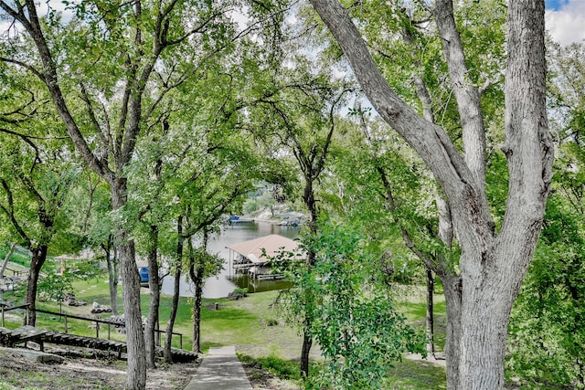 view of property's community featuring a water view