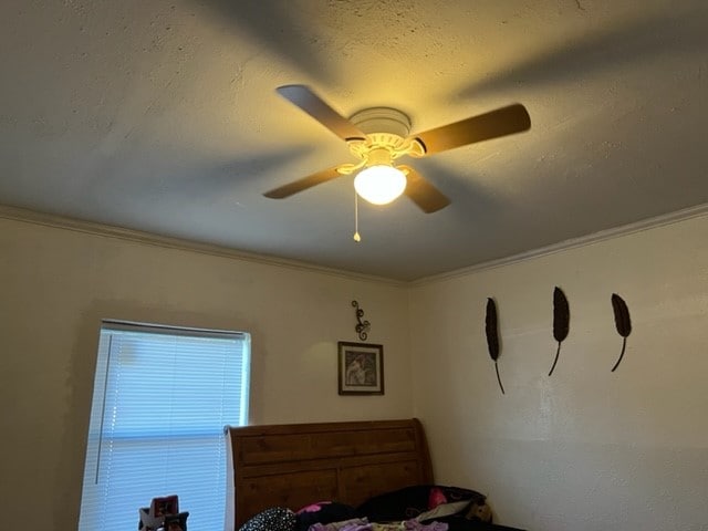 bedroom featuring ceiling fan