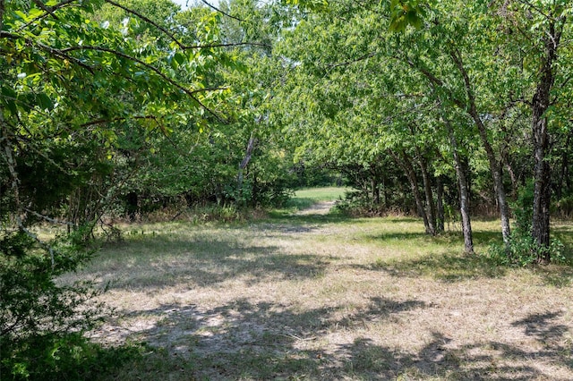view of landscape