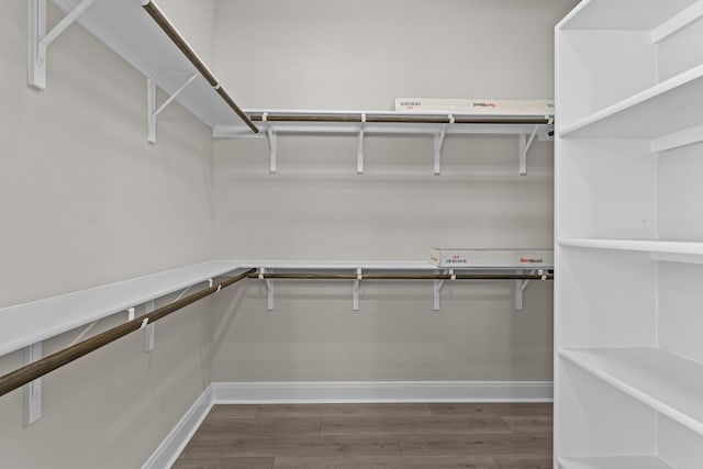 walk in closet with dark hardwood / wood-style floors