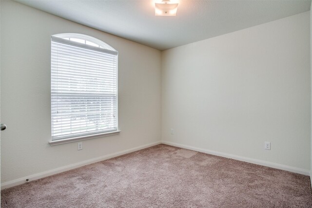 311 Soap Tree Dr, Princeton, TX 75407 - carpeted spare room with healthy amount of natural light and baseboards