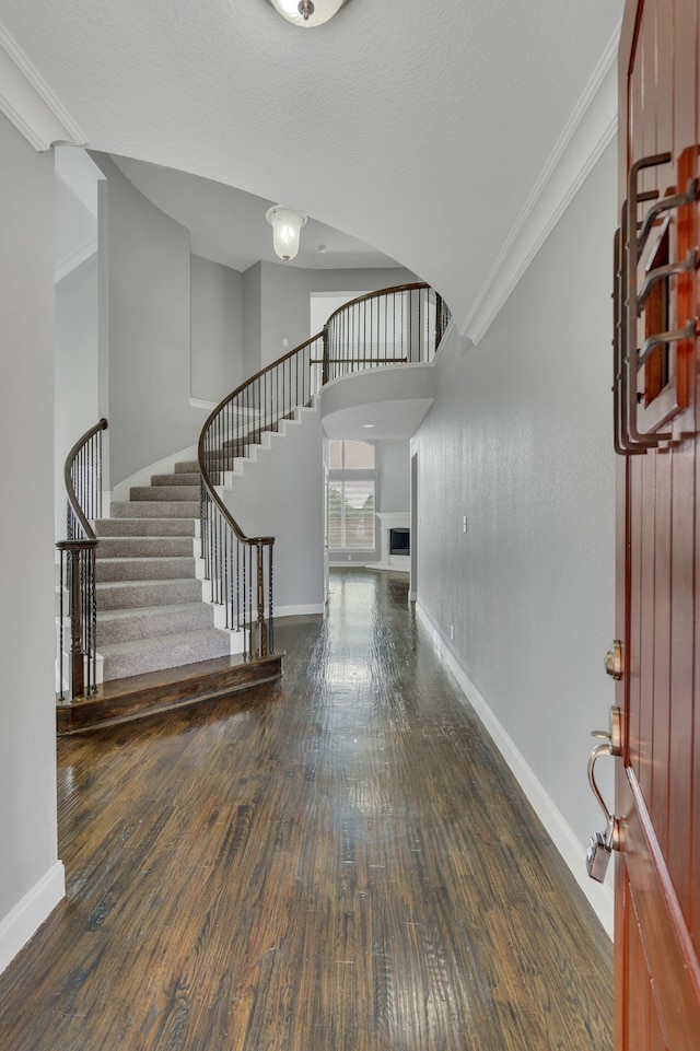 entryway featuring a towering ceiling, ornamental molding, and dark hardwood / wood-style flooring