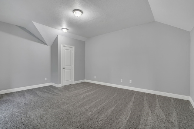 additional living space featuring lofted ceiling, carpet flooring, and a textured ceiling