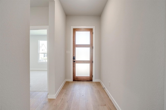 doorway to outside featuring light wood-type flooring and plenty of natural light