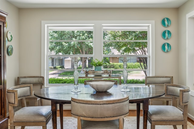 dining room with light hardwood / wood-style flooring and a healthy amount of sunlight