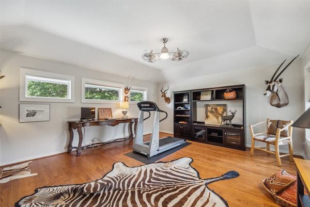 workout room featuring hardwood / wood-style flooring and plenty of natural light