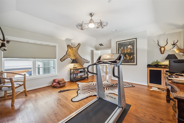 workout area featuring wood-type flooring