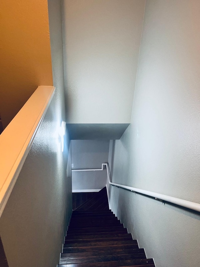 staircase featuring dark hardwood / wood-style flooring