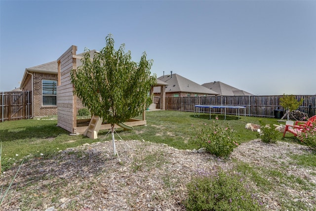 view of yard with a trampoline