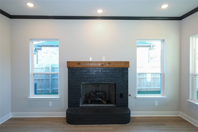 room details with crown molding, hardwood / wood-style flooring, and a fireplace