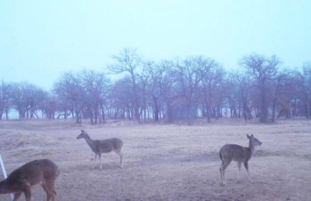 view of surrounding community