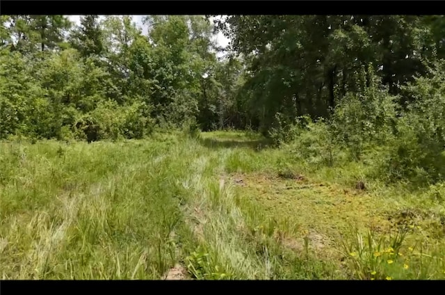 LOT5 County Road 2215, Detroit TX, 75436 land for sale