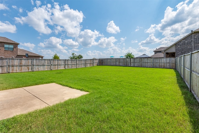 view of yard featuring a patio area