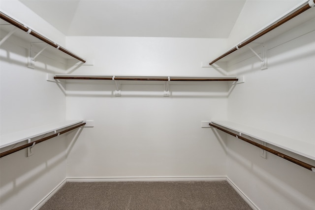 walk in closet with carpet floors