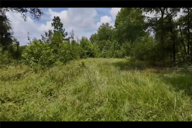 LOT1 County Road 2215, Detroit TX, 75436 land for sale