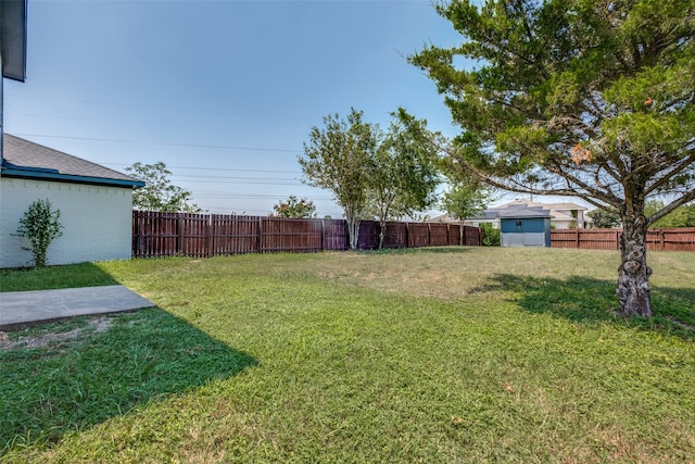 view of yard featuring a storage unit