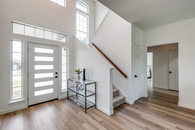 entrance foyer featuring a high ceiling and wood-type flooring