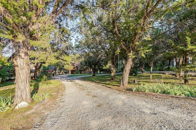 view of street