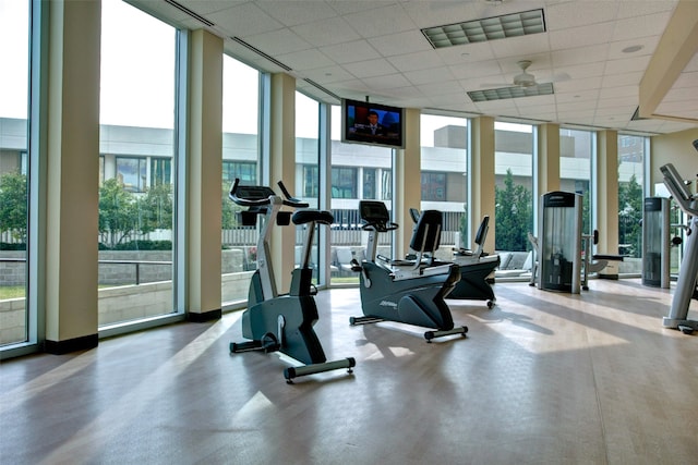 exercise room featuring ceiling fan, a drop ceiling, a wealth of natural light, and a wall of windows