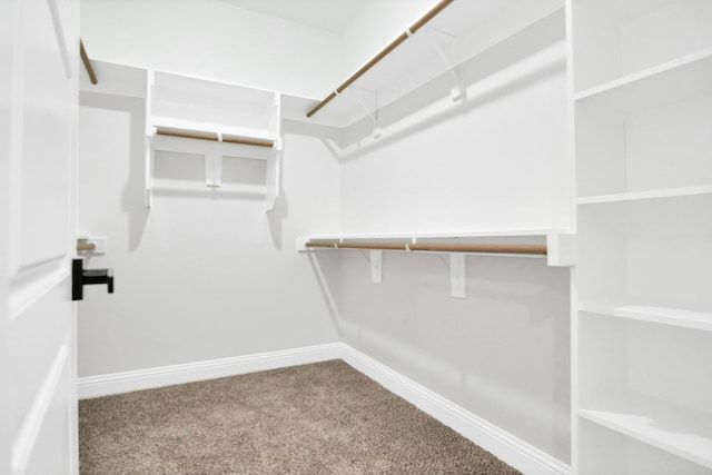 spacious closet with carpet floors