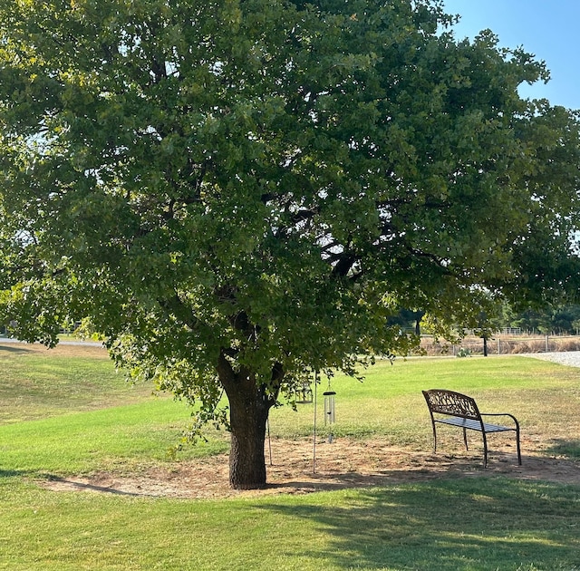 view of community featuring a yard