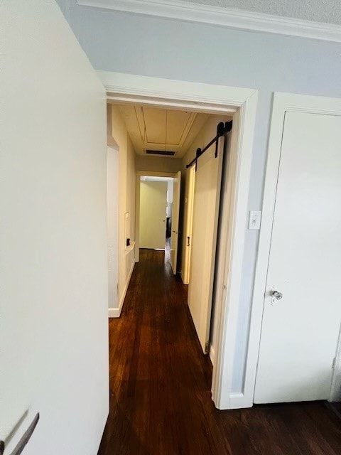 corridor with dark hardwood / wood-style floors, a barn door, and ornamental molding