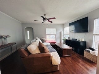 living room with ornamental molding, dark hardwood / wood-style flooring, and ceiling fan