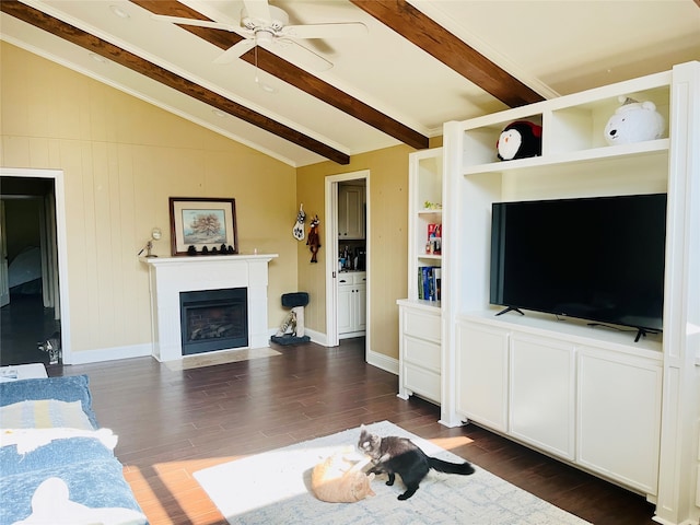 living room with vaulted ceiling with beams, dark hardwood / wood-style floors, and ceiling fan