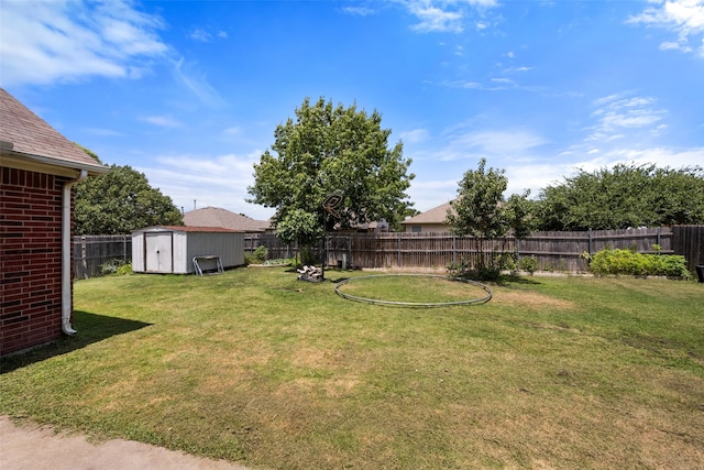 view of yard featuring a storage unit