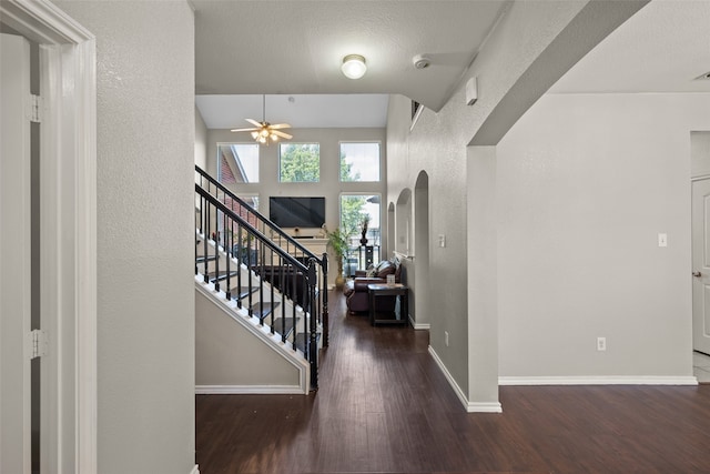 entryway with ceiling fan and hardwood / wood-style flooring