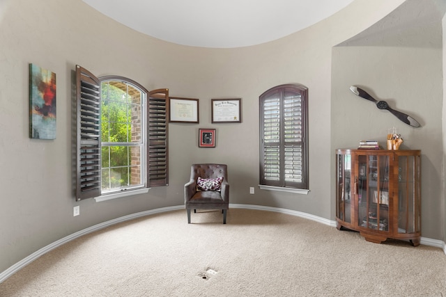 sitting room featuring carpet floors