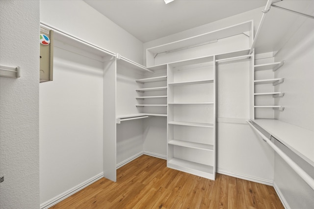 walk in closet with light hardwood / wood-style floors