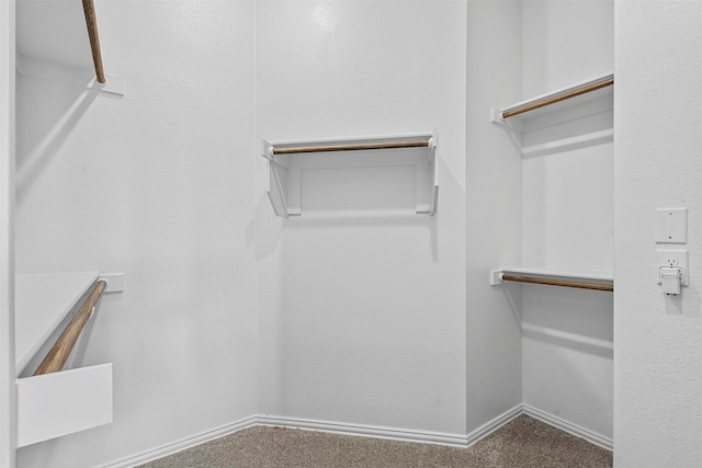 walk in closet featuring carpet