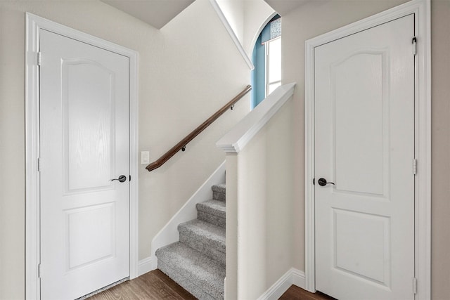 stairway with wood-type flooring