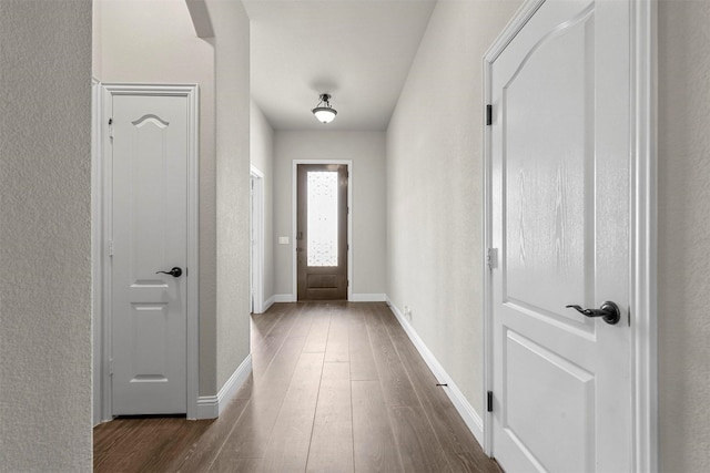 doorway to outside featuring dark hardwood / wood-style flooring