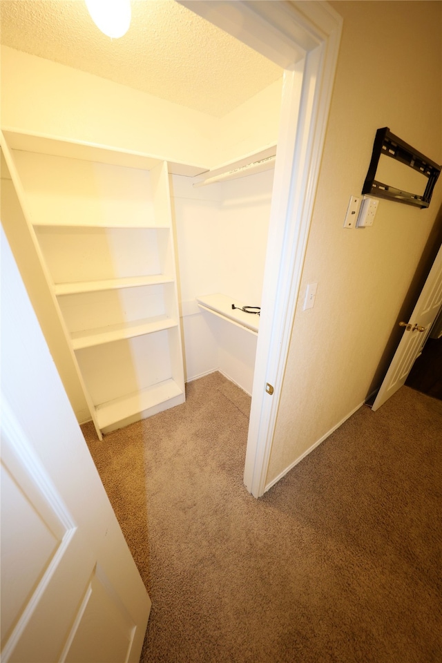 walk in closet featuring carpet floors