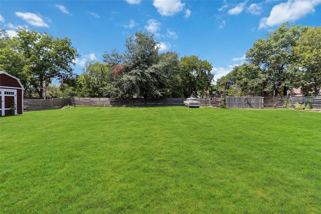 view of yard featuring a shed and a rural view