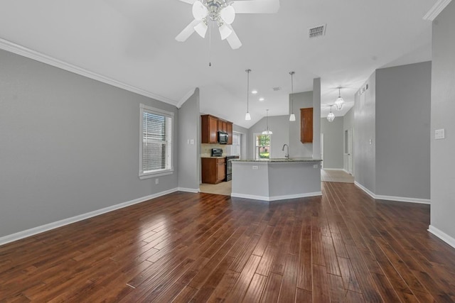 kitchen with dark wood-type flooring, appliances with stainless steel finishes, vaulted ceiling, plenty of natural light, and kitchen peninsula