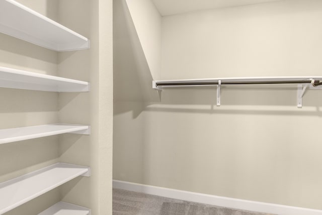 spacious closet featuring carpet flooring