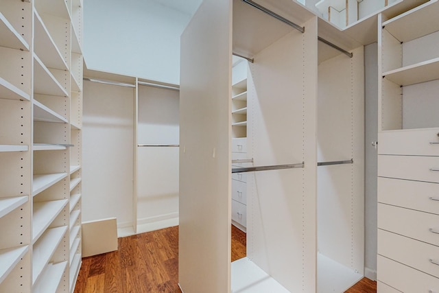 spacious closet with hardwood / wood-style flooring