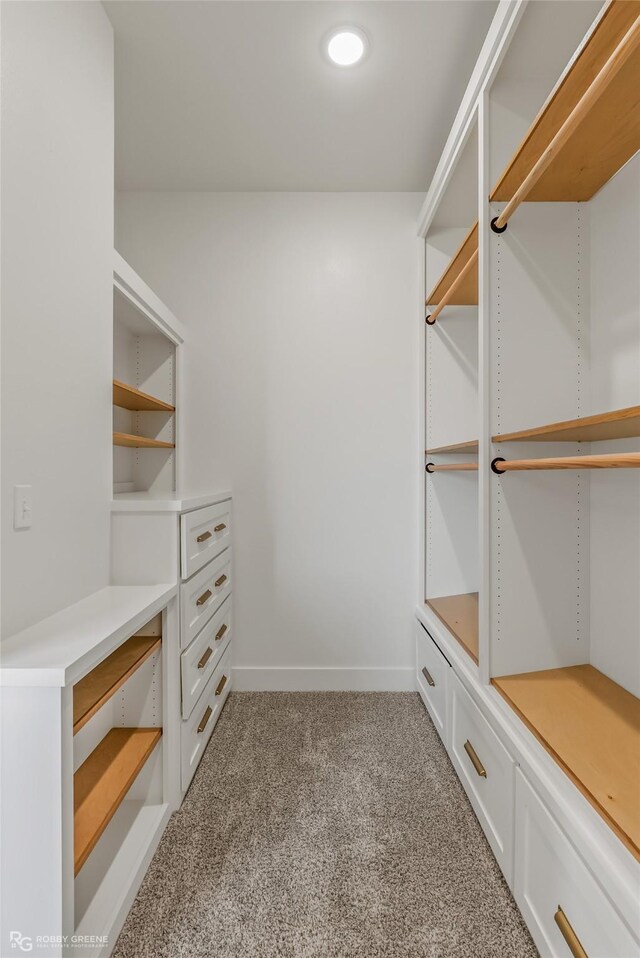 carpeted empty room with ceiling fan and crown molding