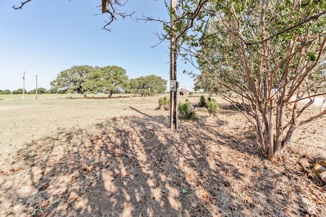 view of yard featuring a rural view