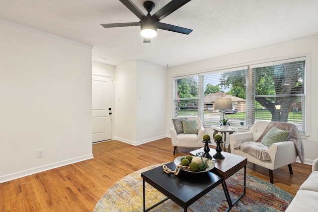 living area featuring ceiling fan and light wood-type flooring