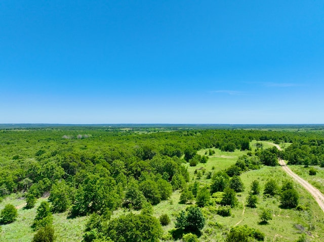 TBD2 Dps Tower Rd, Perrin TX, 76486 land for sale