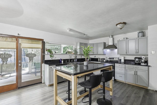 kitchen featuring gray cabinetry, wall chimney range hood, appliances with stainless steel finishes, and light hardwood / wood-style flooring