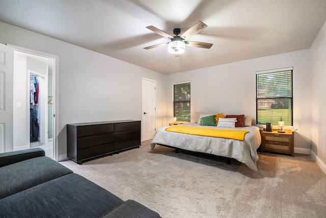 carpeted bedroom featuring ceiling fan, a walk in closet, and a closet