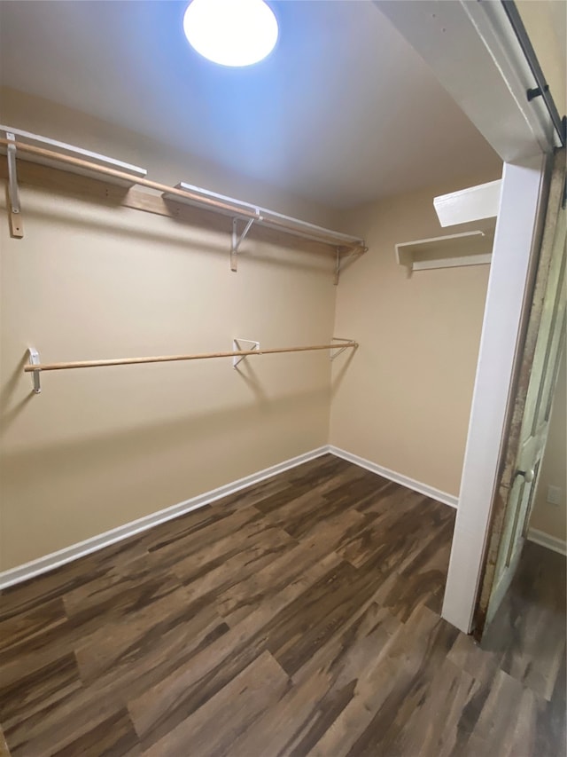 walk in closet featuring dark hardwood / wood-style floors