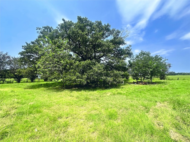 view of yard with a rural view