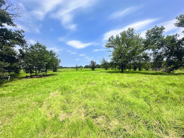 view of yard with a rural view