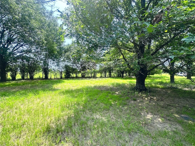 view of yard featuring a rural view